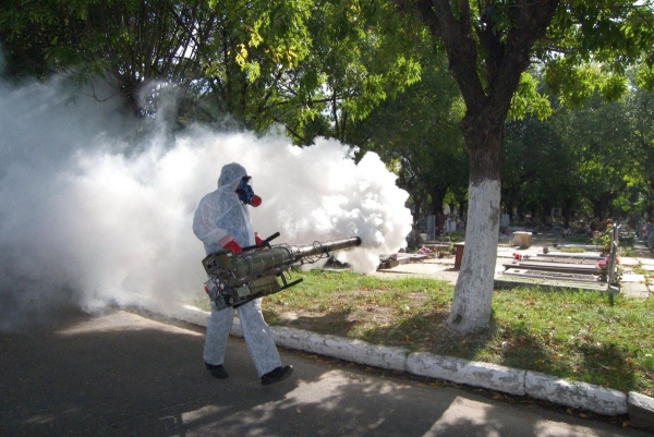 El dengue golpea a América: la OPS asegura que esta será la peor temporada de la historia