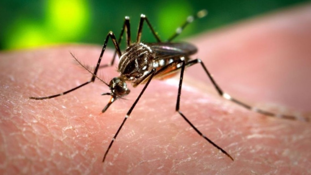 Se registraron 975 nuevos casos de dengue en Catamarca
