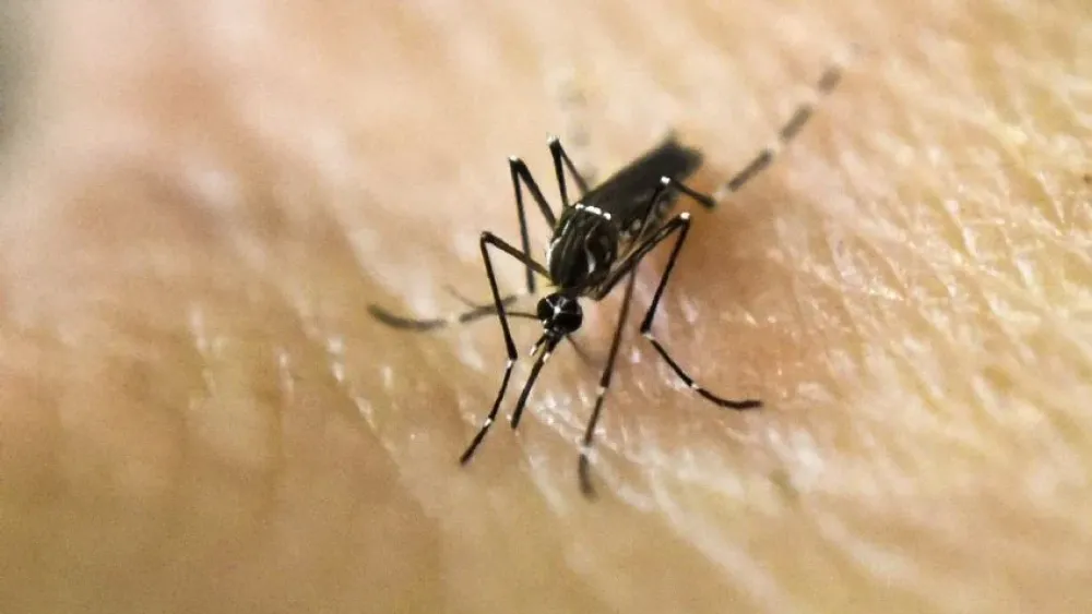 Los casos de dengue siguen aumentando y ya son casi 50 fallecidos en el país