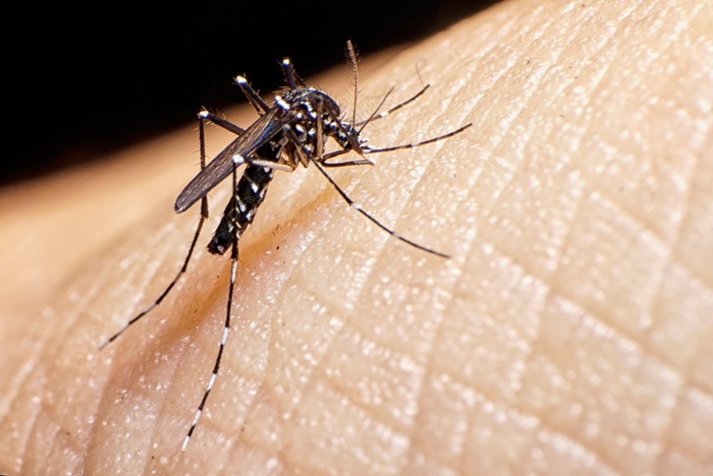 Se registraron dos muertes por dengue en la provincia