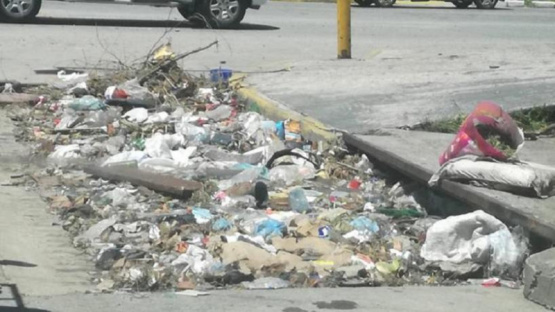 Basurales en la vía pública: Finalmente los concejales prometen trabajar en una ordenanza
