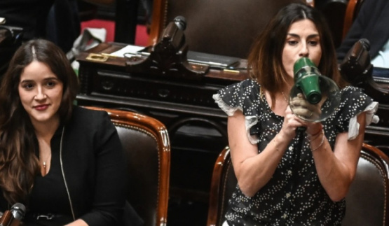 Marcela Pagano usó un megáfono para increpar a Martín Menem 