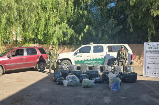 Gendarmería incautó 350 kilos de hojas de coca