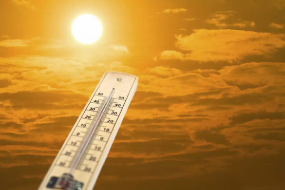 Catamarca será este viernes una de las provincias más calurosas del país