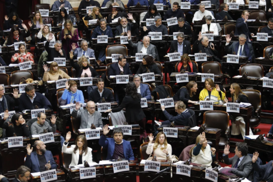 Diputados opositores buscan capitalizar la crisis entre el Gobierno y las provincias 