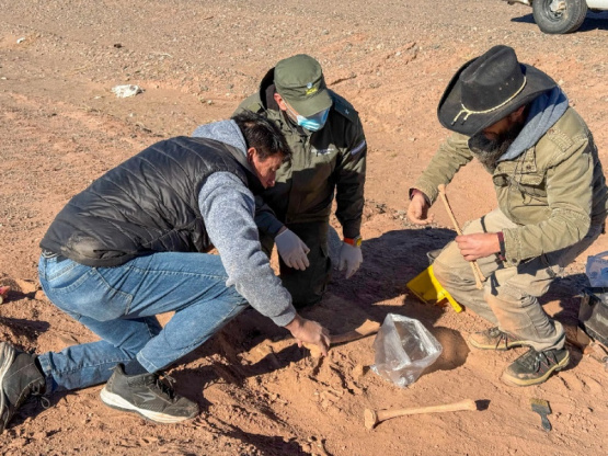 Tinogasta Norte: Personal de Vialidad descubre materiales cerámicos y restos óseos