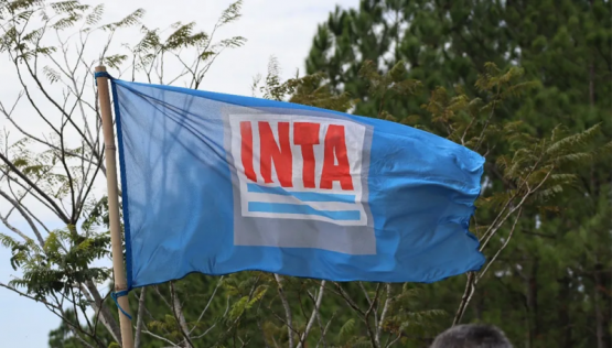 El Gobierno avanza con la reducción de la estructura del INTA