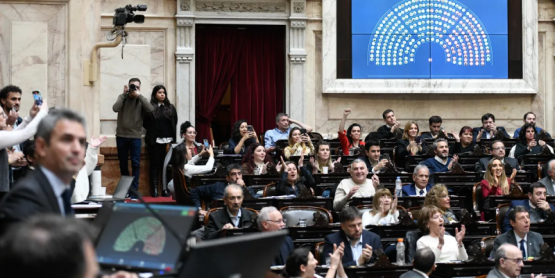 Diputados alcanzó el quorum para discutir el veto de Milei a la ley de emergencia en discapacidad