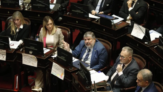 El Congreso rechazó el veto a la ley de Discapacidad y el gobierno deberá distribuir los fondos