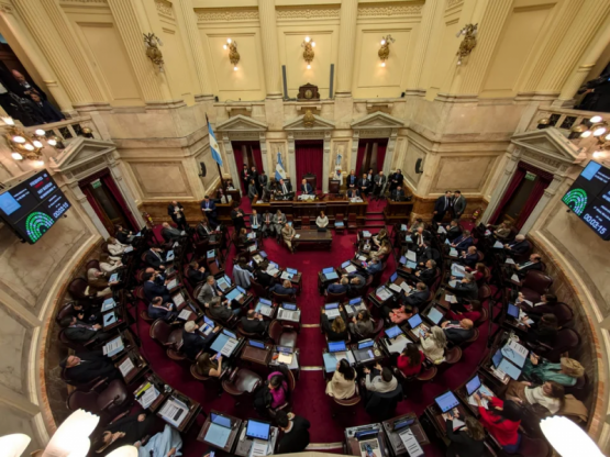 El Senado le dio media sanción al proyecto que restringe el uso de decretos