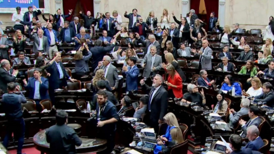 Diputados rechazó vetos al financiamiento universitario y el Garrahan