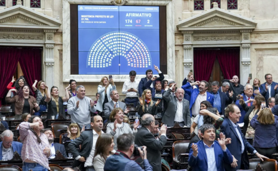 Cómo se armó la mayoría opositora que rechazó los vetos del Garrahan y las universidades