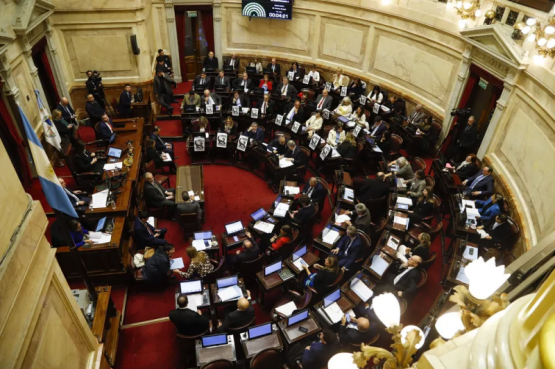 El Senado buscará insistir con los ATN y voltear otro veto del Gobierno