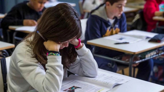 Argentina cayó en lectura, matemática y ciencias